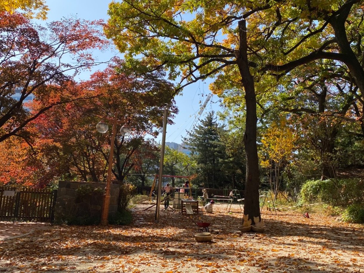 Play-Yonsei Power Up! 교육활동 13